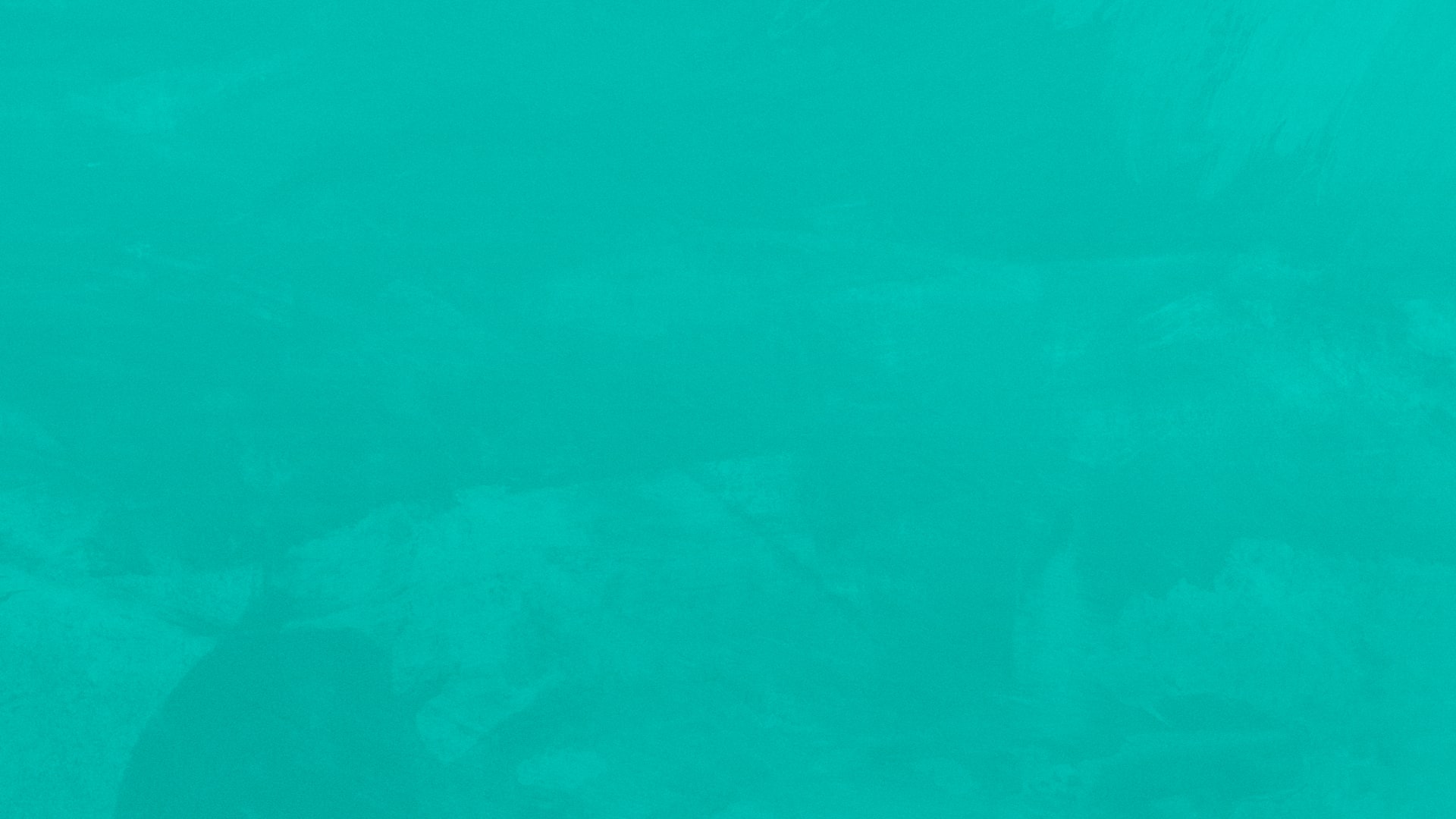BG AZUL-min